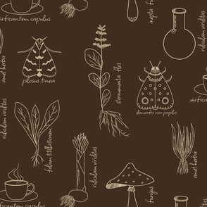 Dark Academia Browns. Line art design inspired by Dark Academia challenge. Pressed flowers, flasks, moths and even mushrooms