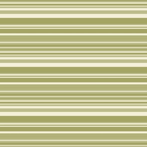 Horizontal Stripes in Avocado Green