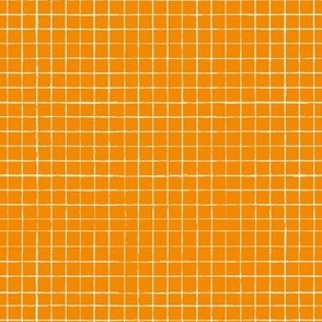Old Grid Lines on Orange Background