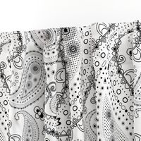 Black and White Paisley - LARGE