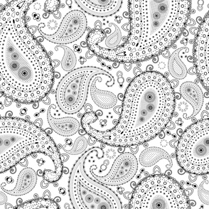 Black and White Paisley - LARGE