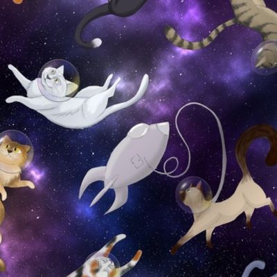 Cats in Space 