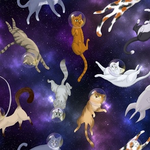 Cats in Space Large Print