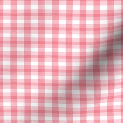 Picnic Party Distressed Bubblegum-Pink Gingham