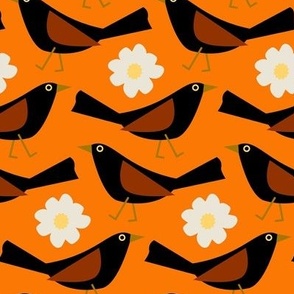 Blackbirds / daisy / orange 