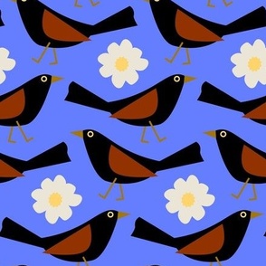 Blackbirds / daisy / blue