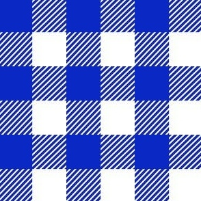  Plaid - blue/white (1" squares)