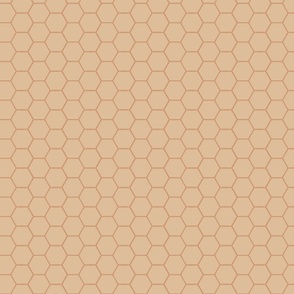 Honeycomb in Terracotta