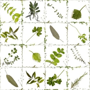 wild check kitchen herbs jigsaw puzzle - dried wildflowers - pressed wildflowers - dried kitchen herbs 