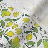 lemon branches on white - small scale