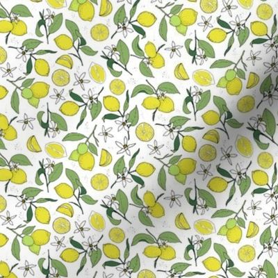lemon branches on white - small scale