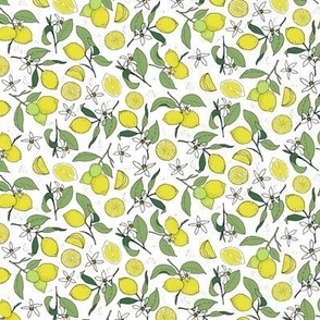 lemon branches on white - small scale