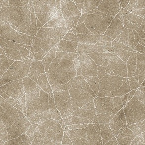 Vintage Weathered and Wrinkled Parchment