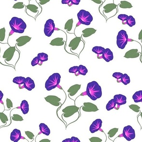 morning-glories-pattern1