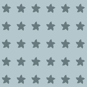 asterisk_star_slate-teal-grey