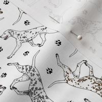 Tiny Trotting Dalmatians and paw prints - white