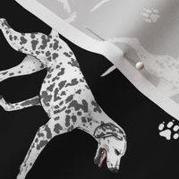 Trotting Dalmatians and paw prints - black