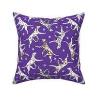 Trotting Dalmatians and paw prints - purple