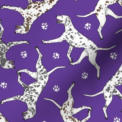 Trotting Dalmatians and paw prints - purple