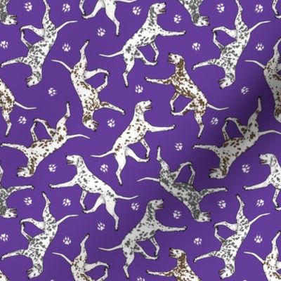 Tiny Trotting Dalmatians and paw prints - purple