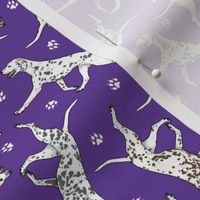 Tiny Trotting Dalmatians and paw prints - purple