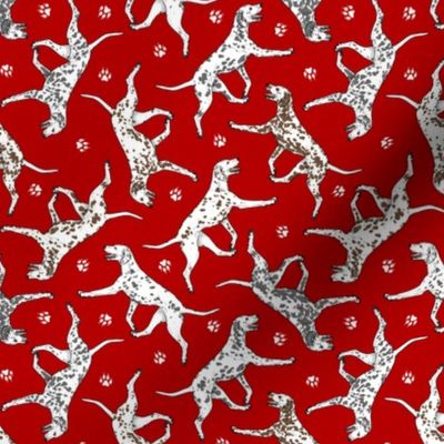 Tiny Trotting Dalmatians and paw prints - red