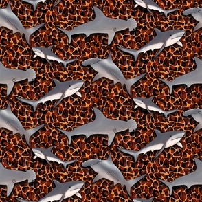 Lava Sharks