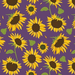 A stunning sunflower field on a grape violet background