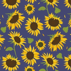 Hand drawn Sunflowers on Night-Blue Background