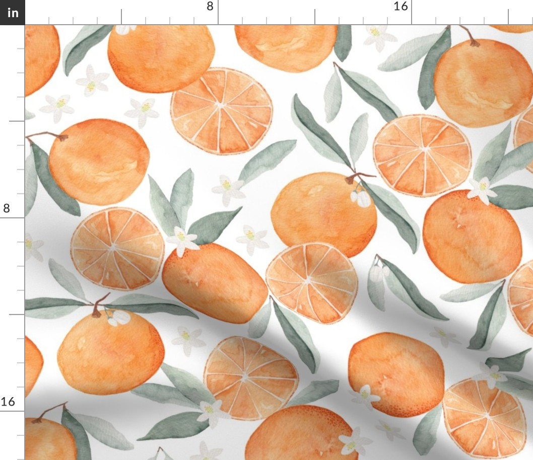 watercolor oranges - large