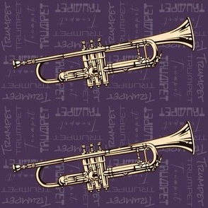 trumpet purple brass horn