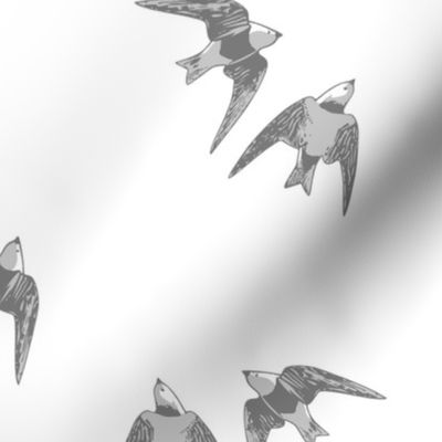 Gray Swallows Diving - Scatter Repeat