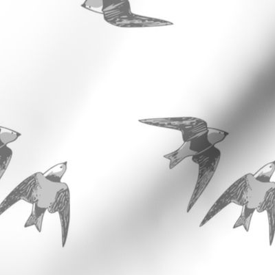 Gray Swallows Diving - Half-Brick Repeat