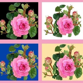 Quilt effect Pink Roses on multiple backgrounds 