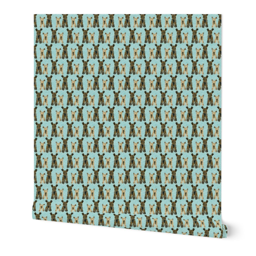 Yorkshire Terrier Dogs on Teal, 30