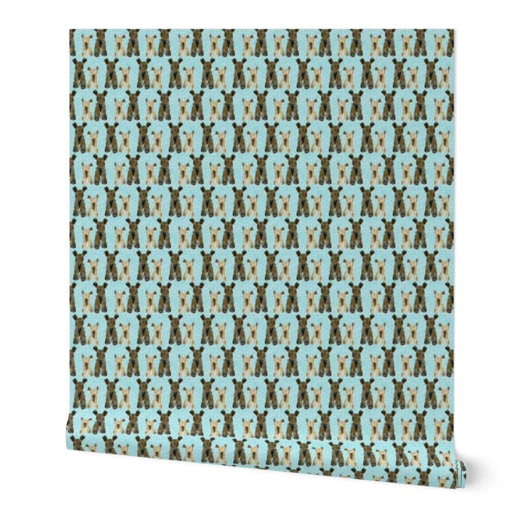 Yorkshire Terrier Dogs on Teal, 30