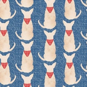  Chihuahua Dogs on Denim Blue, 50