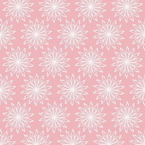 Simple Australian Waratah flower - light pink and cream