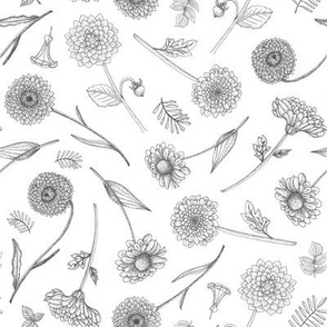 Botanical Illustration in Black & White - Small Scale