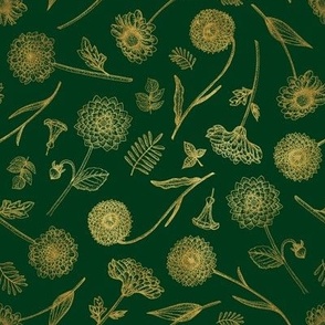 Botanical Illustration on Emerald Green - Small Scale