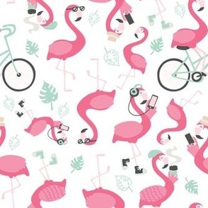 Funky Flamingos