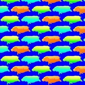 3 colorful swimming hippos in neon on blue 2in