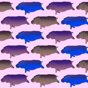 3 colorful swimming hippos on mag. pink 2p5in