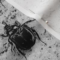 Hermit beetle - black and white