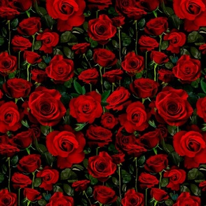 A Bed of Red Roses (small scale)   