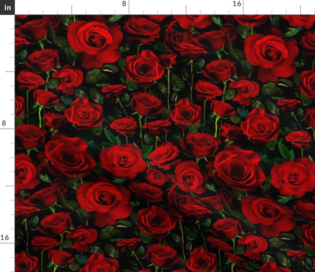 A Bed of Red Roses 