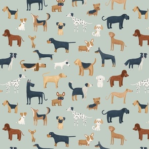 Dog breeds in a pale green background