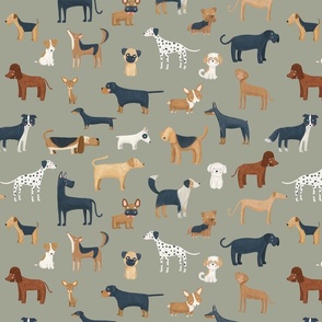 Dog breeds in a green background