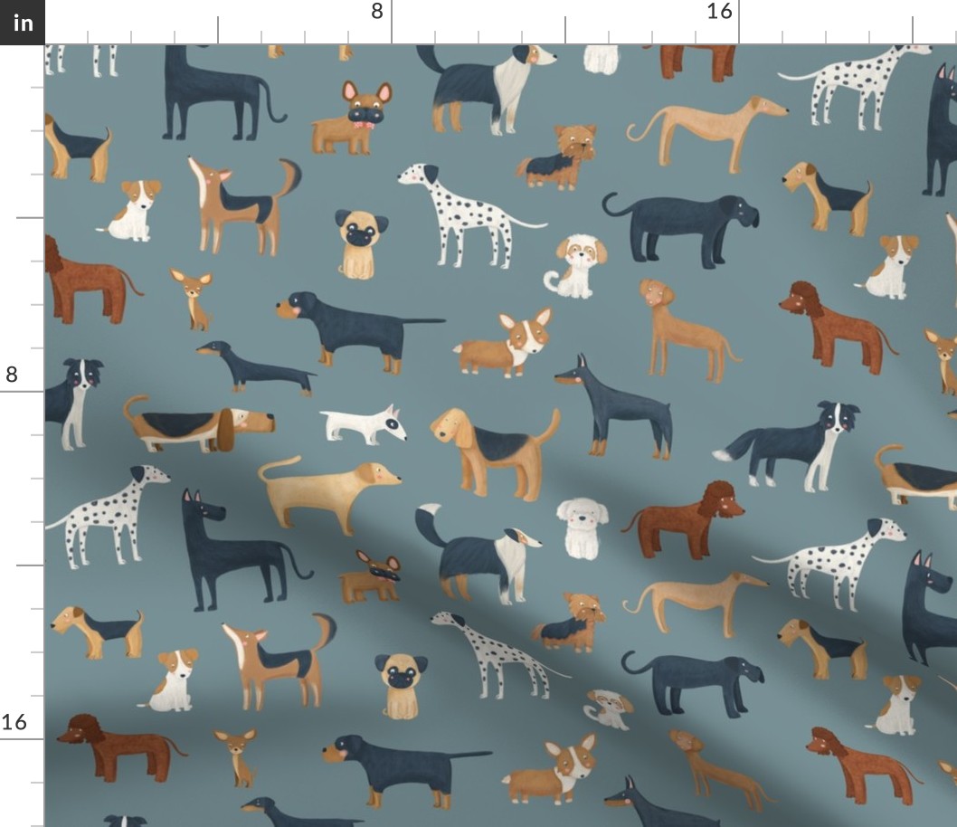 Dog breeds in a blue  background