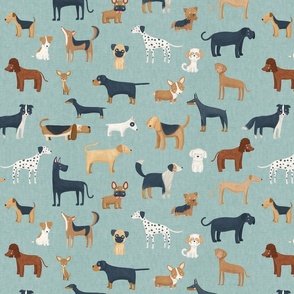 Dog breeds in a  turquoise background